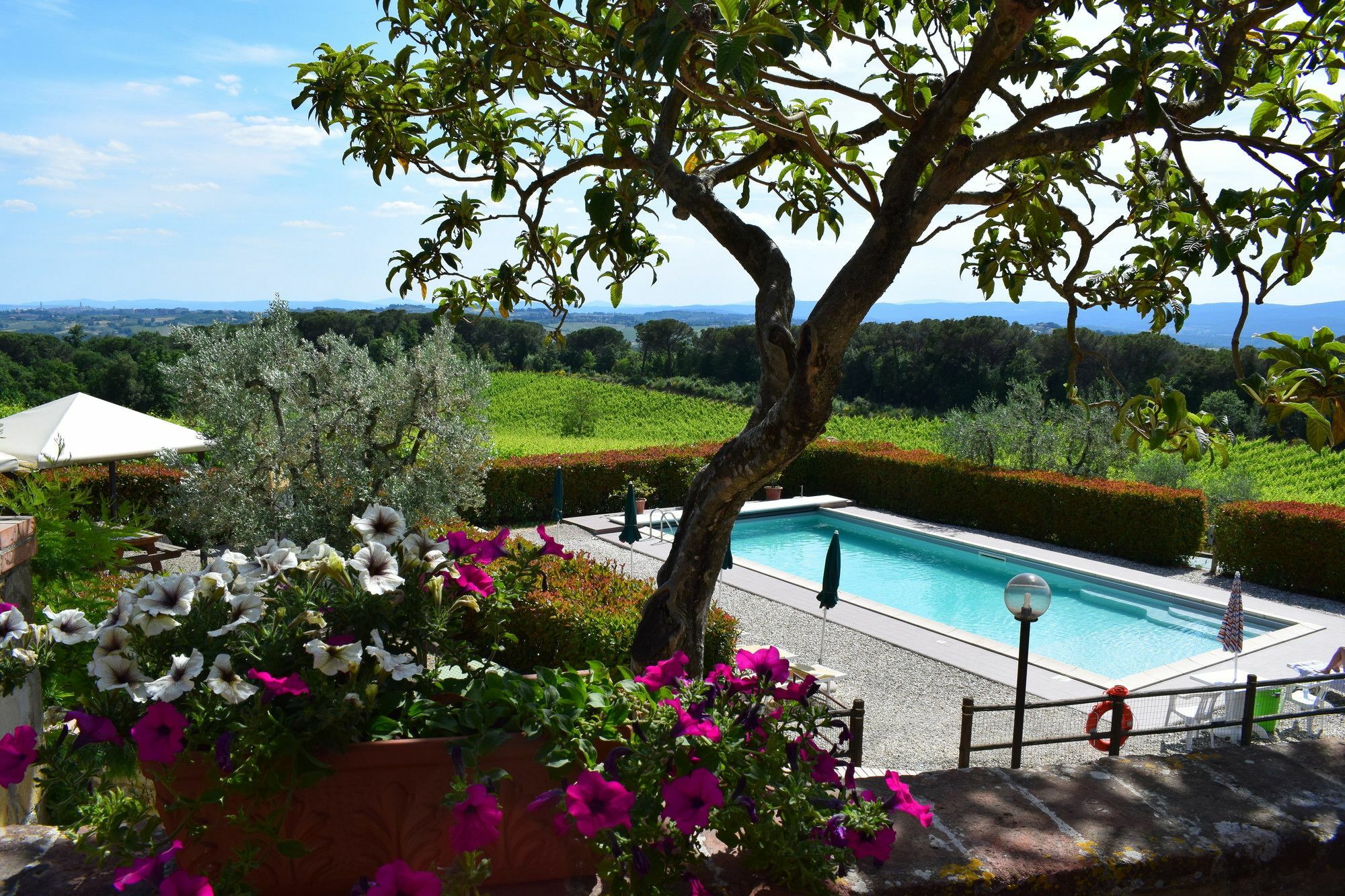 Agriturismo Amina, Winery & Hiking Vagliagli Luaran gambar
