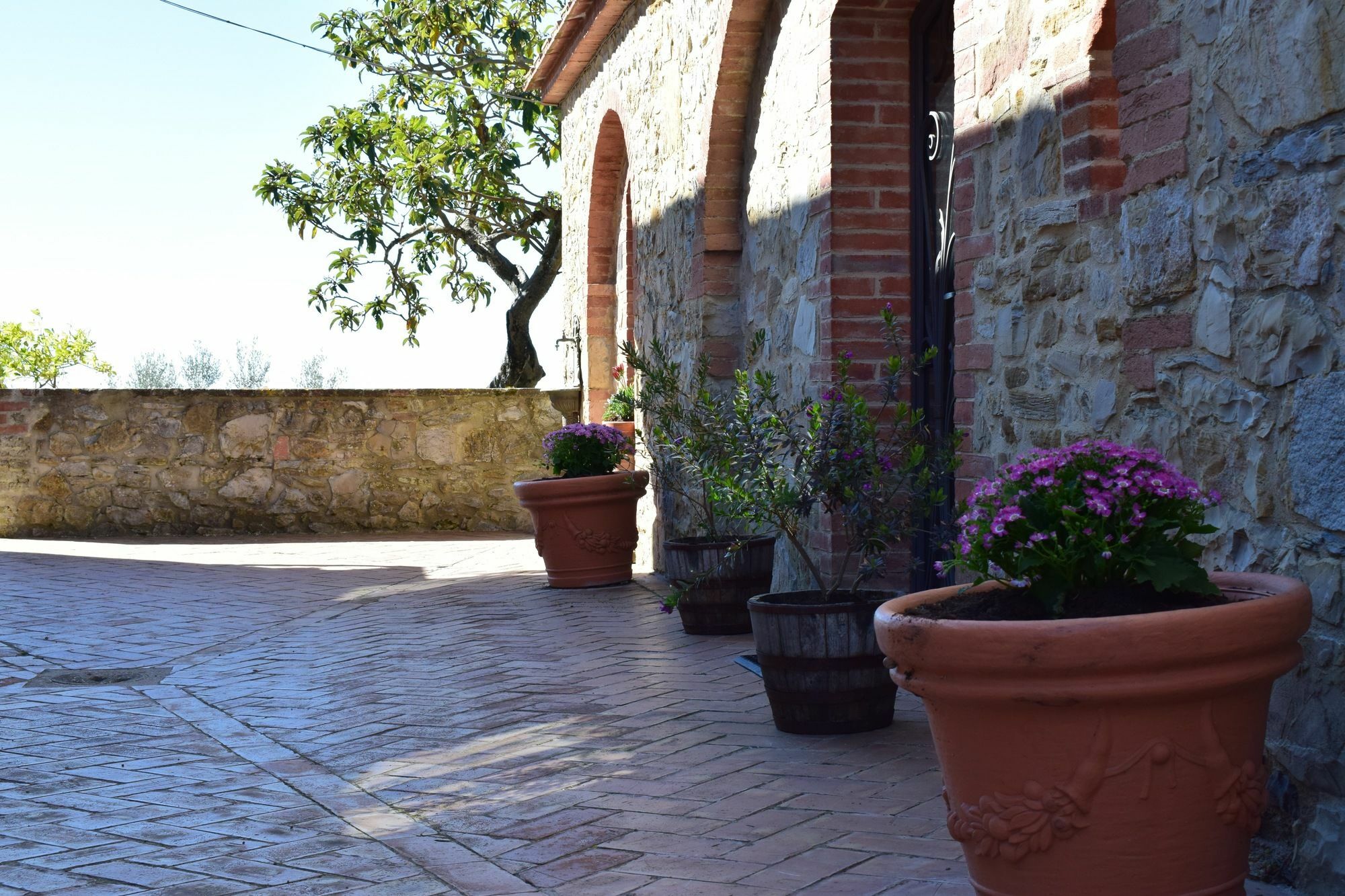 Agriturismo Amina, Winery & Hiking Vagliagli Luaran gambar